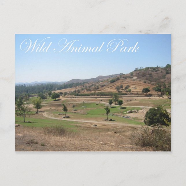 Wild Animal Park 2 Postcard (Front)