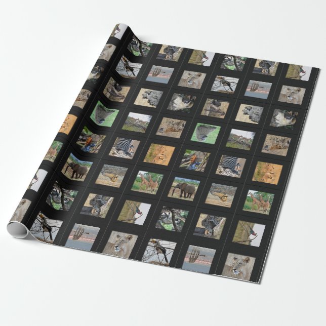 Wild Animal Photo Gift Wrap (Unrolled)