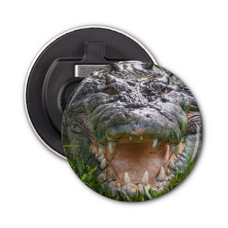 Wild animal saltwater crocodile head mouth open bottle opener | Zazzle