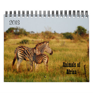 Wild animals Africa safari 2013 Calendar