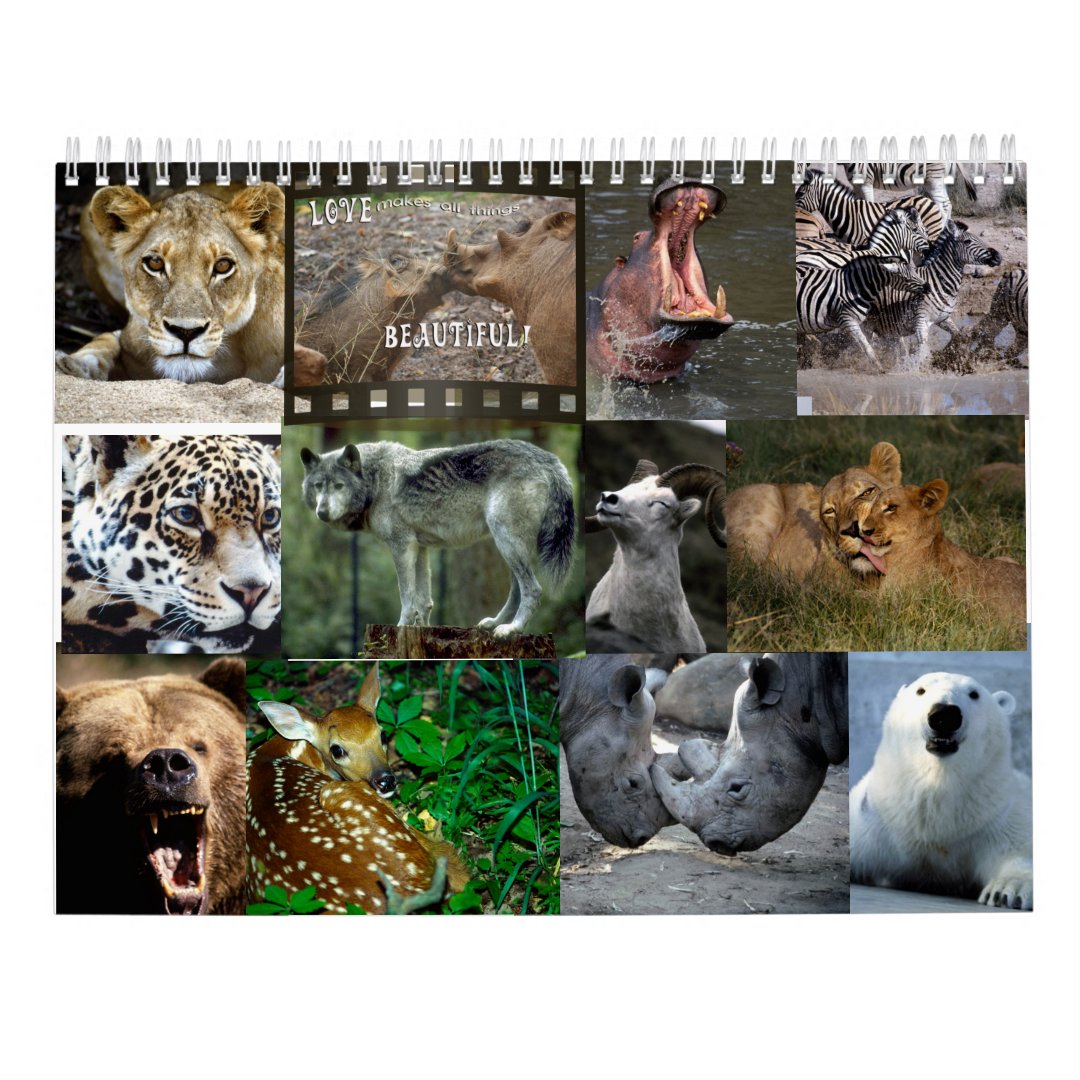 WILD ANIMALS CALENDAR Zazzle