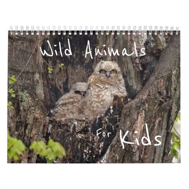 Wild Animals For Kids Calendar (Cover)