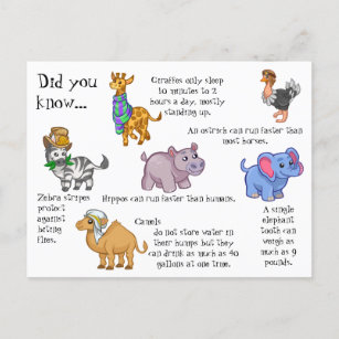Wild Animals Fun Facts Postcard