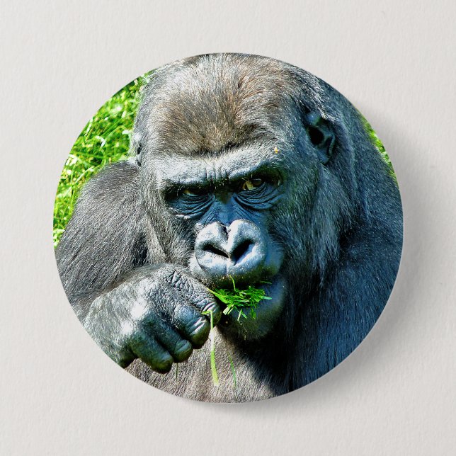 WILD ANIMALS - GORILLAS BUTTON (Front)