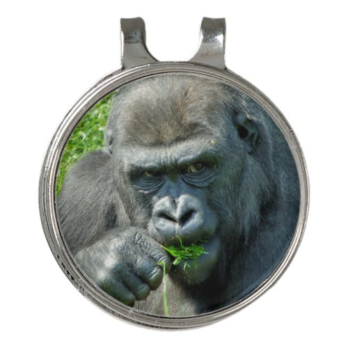 WILD ANIMALS _ GORILLAS GOLF HAT CLIP