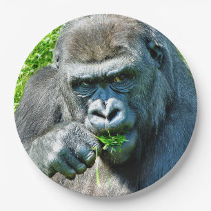 WILD ANIMALS - GORILLAS PAPER PLATES