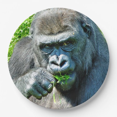 WILD ANIMALS _ GORILLAS PAPER PLATES