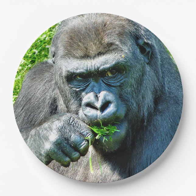 WILD ANIMALS - GORILLAS PAPER PLATES (Front)