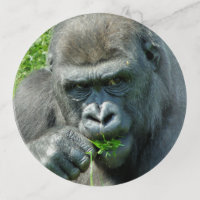 Gorilla Gift Box, Zazzle