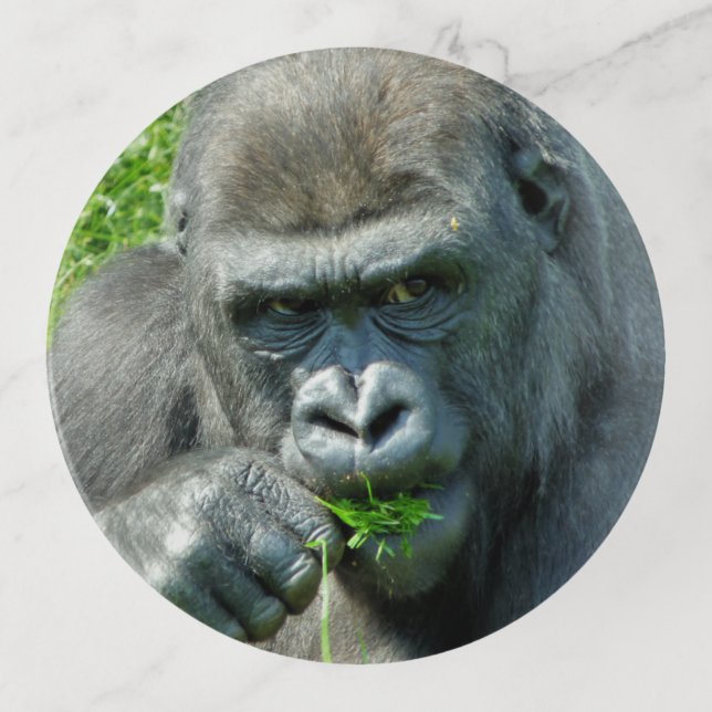 WILD ANIMALS - GORILLAS TRINKET TRAY (Front)