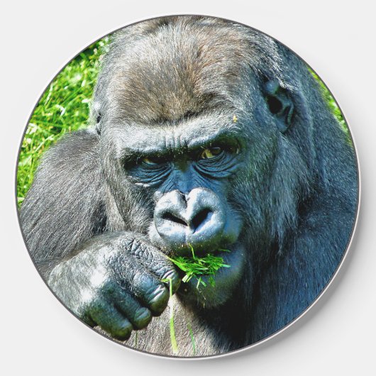 WILD ANIMALS - GORILLAS WIRELESS CHARGER  (Front)