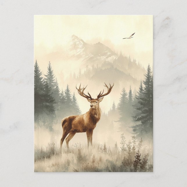 Wild Animals of Alaska. Reindeer.. Postcard (Front)