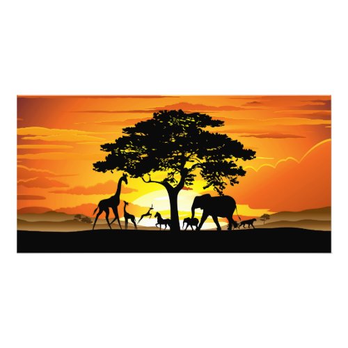 Wild Animals on African Savanna Sunset Photo Print