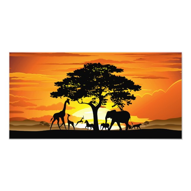 Wild Animals on African Savanna Sunset Photo Print (Front)
