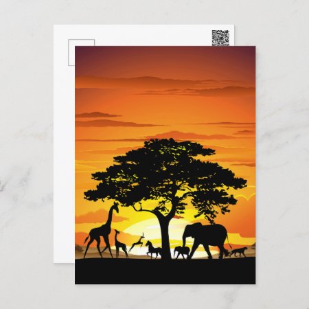 Wild Animals On African Savanna Sunset Postcard