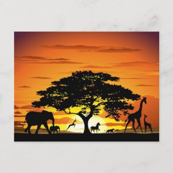 Wild Animals On African Savanna Sunset Postcard by Bluedarkat at Zazzle