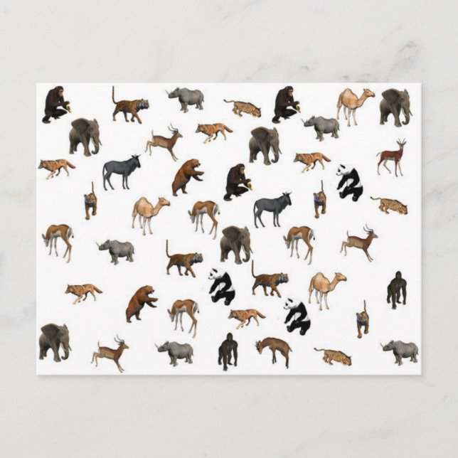 Wild Animals Postcard (Front)