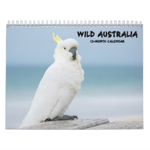 "Wild Australia" Australian Wildlife Calendar