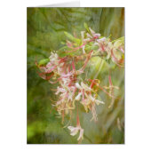 Wild Azalea Blossoms = Springtime (Front)