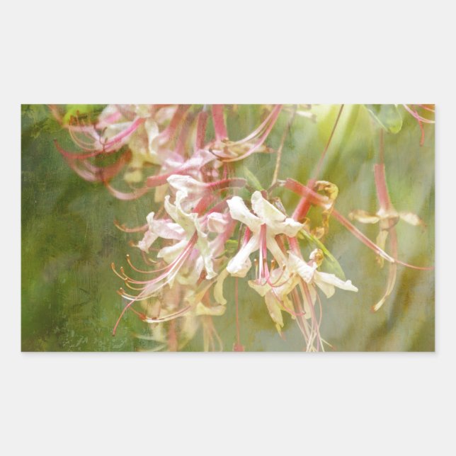 Wild Azalea Blossoms = Springtime Rectangular Sticker (Front)