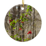 Wild Azalea Bush at Smoky Mountains Ceramic Ornament