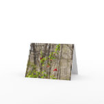 Wild Azalea Bush at Smoky Mountains Note Card