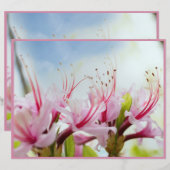 wild azaleas (Front/Back)