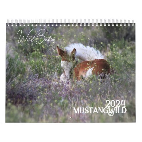 Wild Babies MustangWild 2024 12_month Calendar 