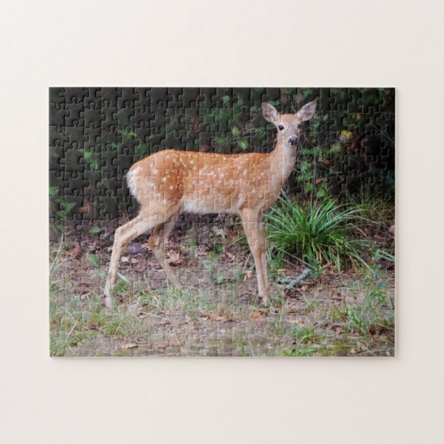 Wild Baby Deer Nature Animal Fawn Puzzle (Horizontal)