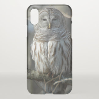 Wild Barred Owl Photograph iPhone XS Case