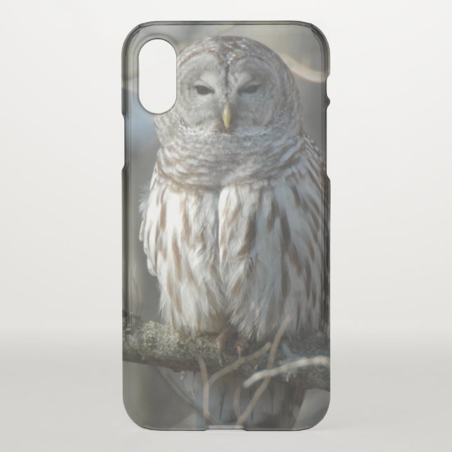 Wild Barred Owl Photograph Uncommon iPhone Case (Back)
