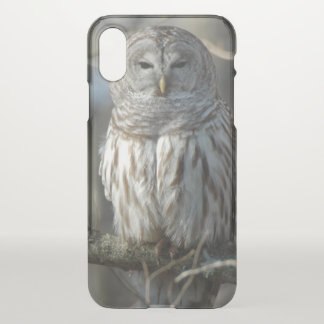 Wild Barred Owl Photograph iPhone X Case