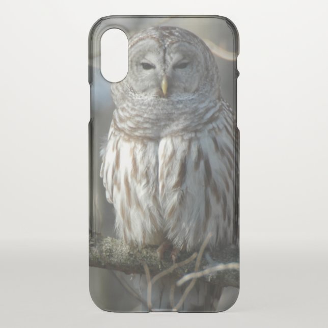Wild Barred Owl Photograph Uncommon iPhone Case (Back)