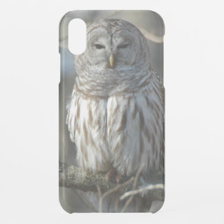 Wild Barred Owl Photograph iPhone XR Case
