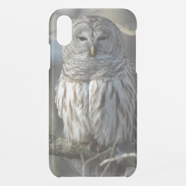 Wild Barred Owl Photograph Uncommon iPhone Case (Back)