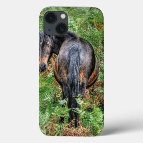Wild Bay New Forest Pony  Bracken _ England iPhone 13 Case