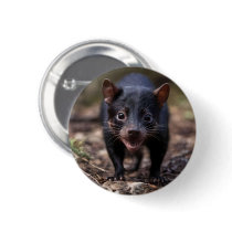 Wild Beginnings: The Young Tasmanian Devil Button
