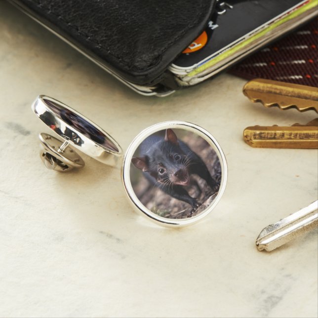 Wild Beginnings: The Young Tasmanian Devil Lapel Pin (In Situ)