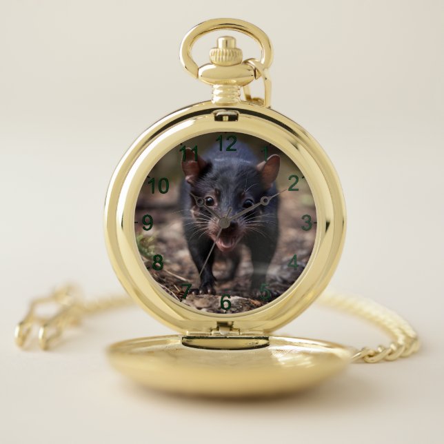 Wild Beginnings: The Young Tasmanian Devil Pocket Watch (Inside)