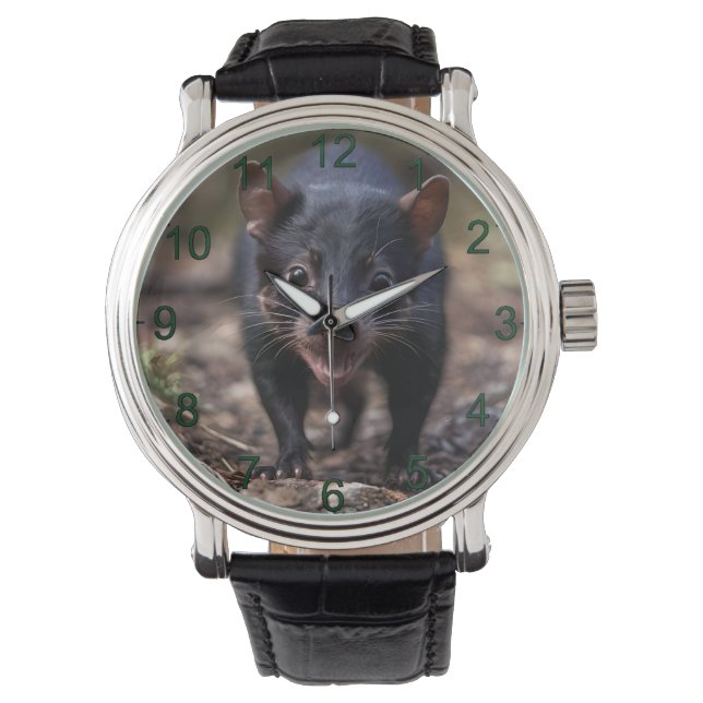 Wild Beginnings: The Young Tasmanian Devil Watch (Front)