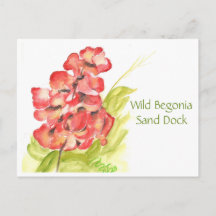Wild Begonia Post Card