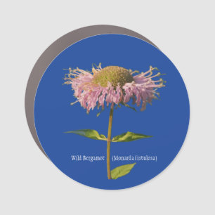 Wild Bergamot (Monarda fistulosa) Car Magnet