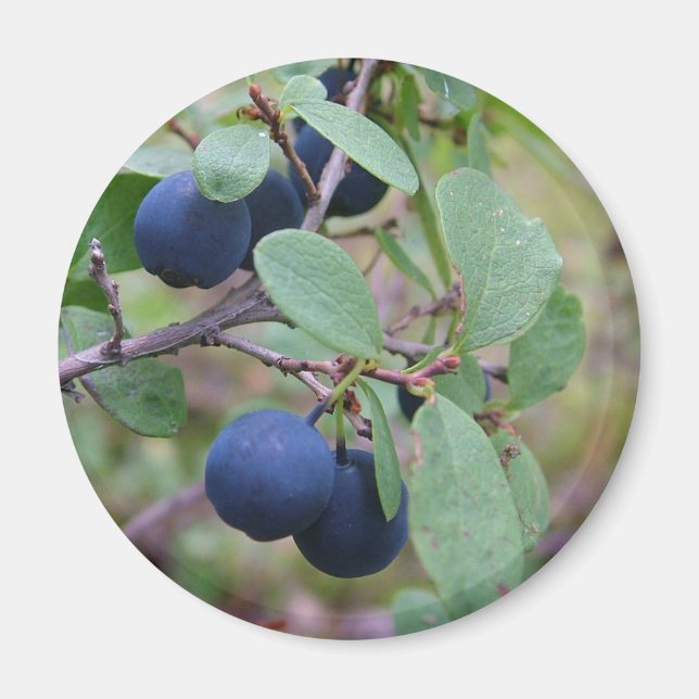 Wild Berries magnet (Front)