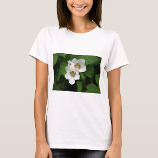 Wild Berries Clothing & Apparel | Zazzle