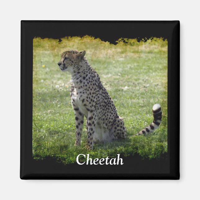 Wild Big Cats Animal-lover Design Magnet (Front)