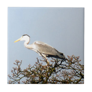 WILD BIRD HERON CERAMIC TILE
