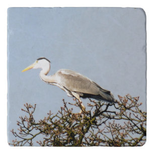 WILD BIRD HERON    TRIVET