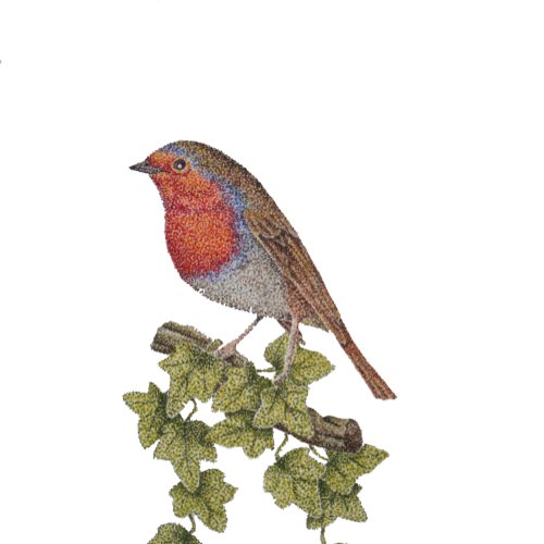 wild bird perched on ivy leaf robin for christmas tie