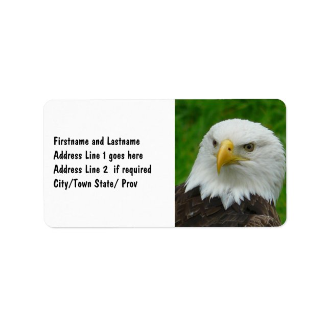 Wild Bird Photography - American Bald Eagle Label (Front)