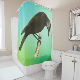 Wild Birds Art - The Raven Shower Curtain